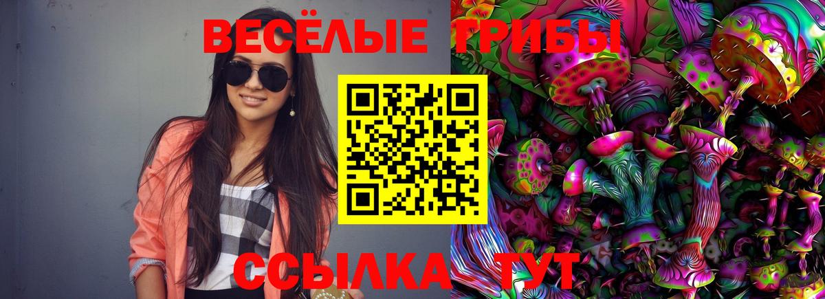 Псилоцибиновые грибы мицелий Сызрань